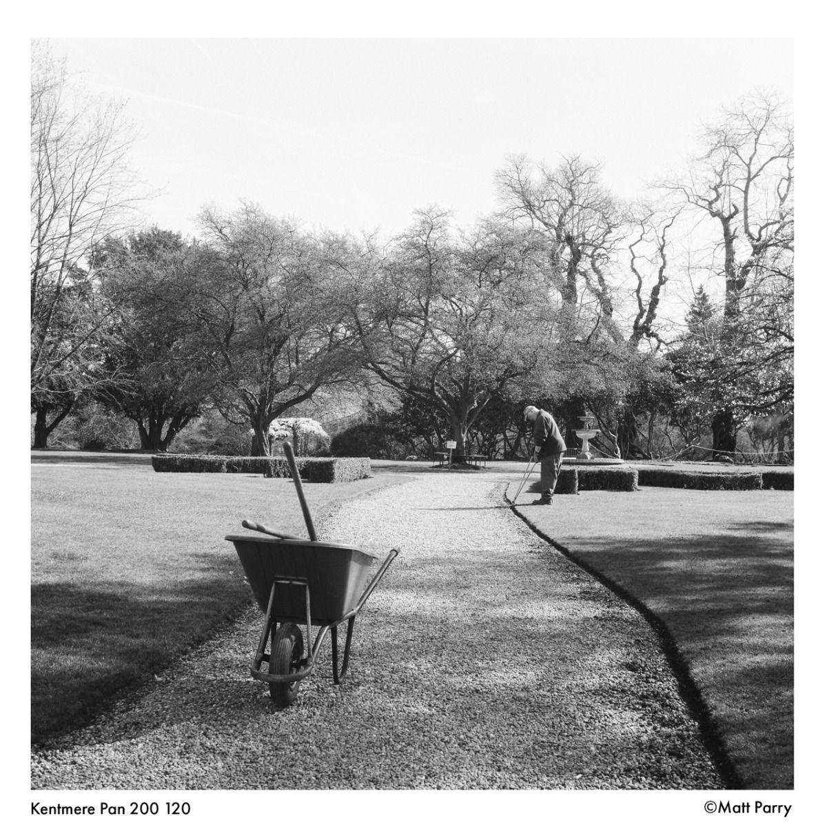 Kentmere Pan 200 (120)