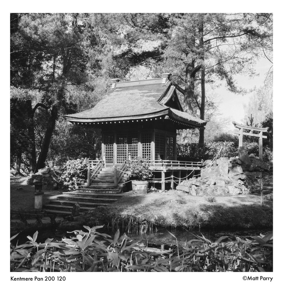 Kentmere Pan 200 (120)