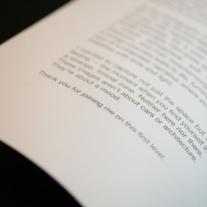 LEVEL 1 - Peter Preis