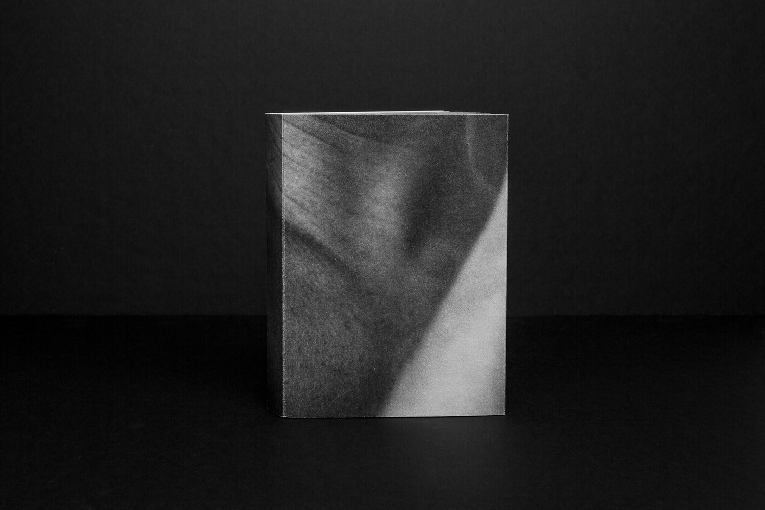 Butterflies and Caterpillars - Ardelle Schneider