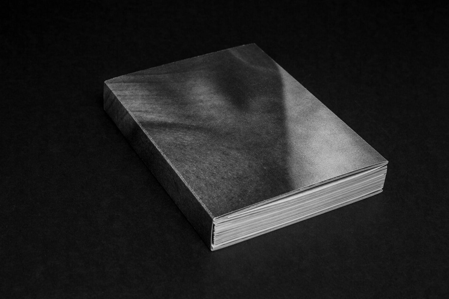 Butterflies and Caterpillars - Ardelle Schneider