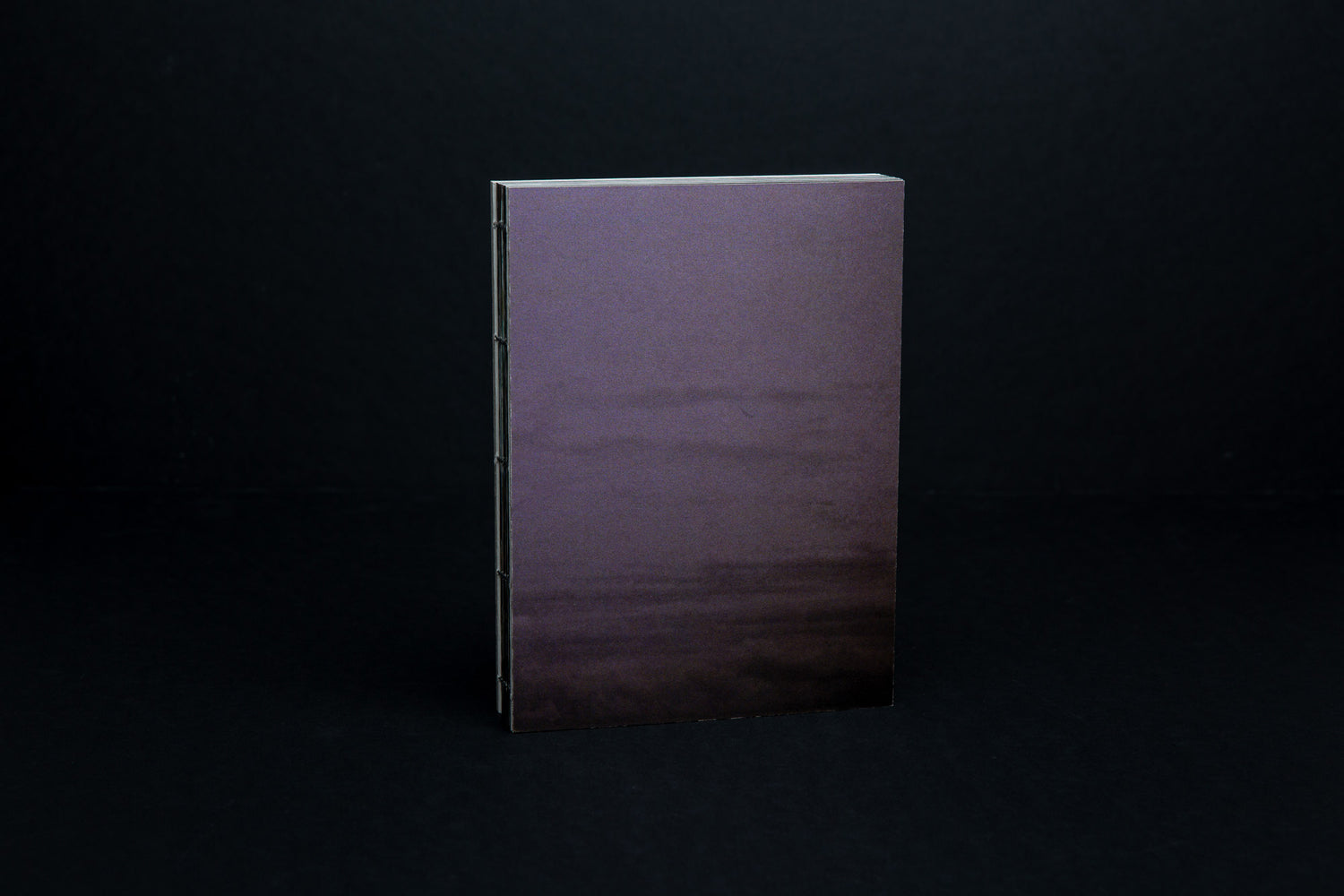 Butterflies and Caterpillars - Ardelle Schneider