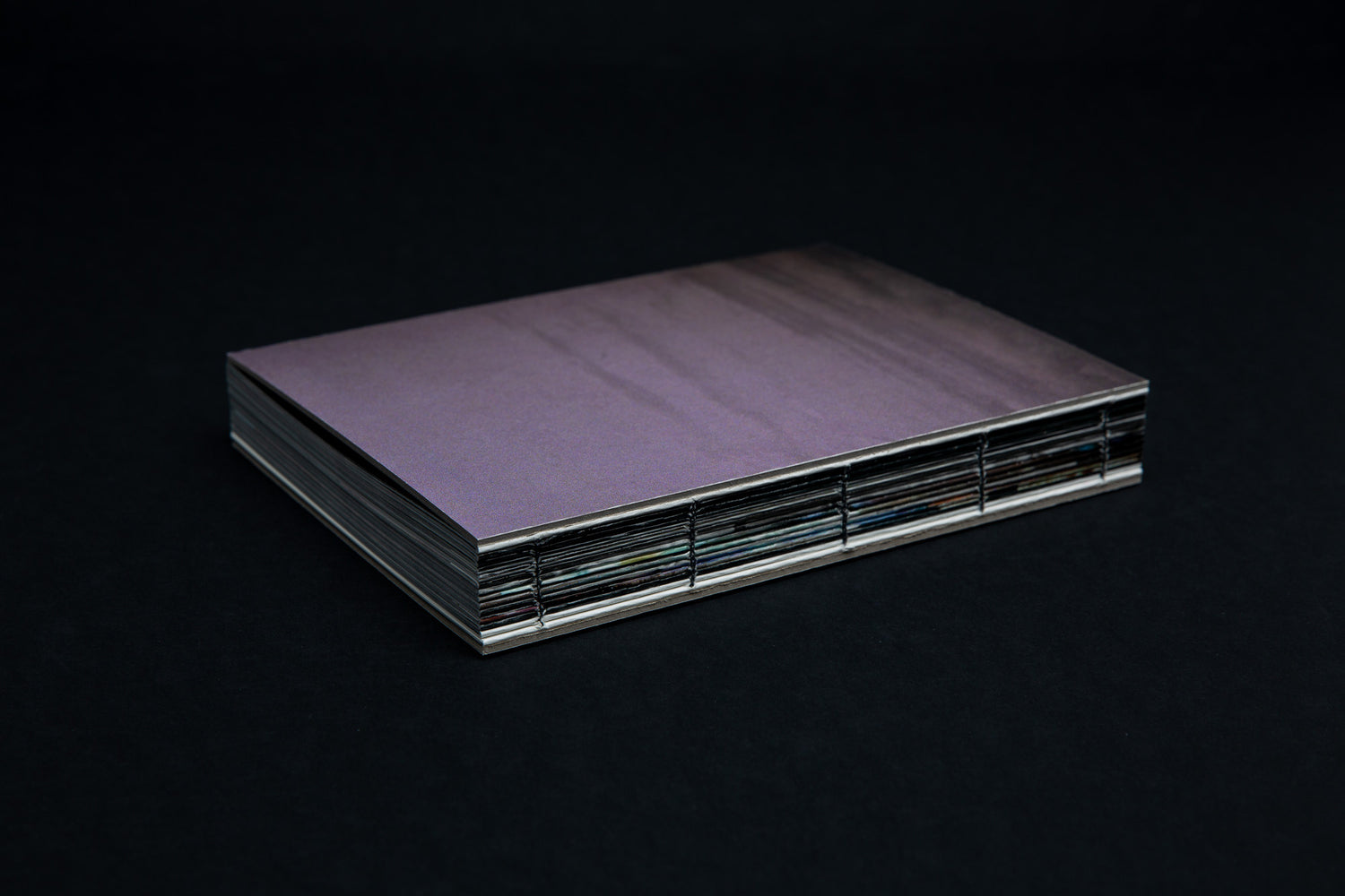 Butterflies and Caterpillars - Ardelle Schneider