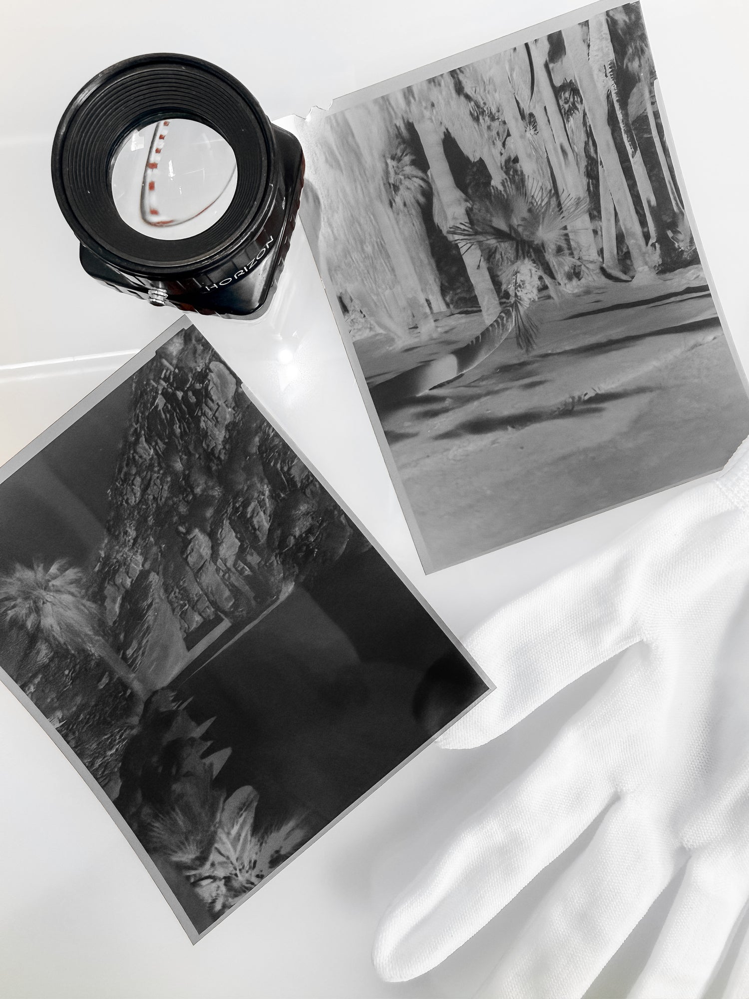 4×5 Black & White Dev