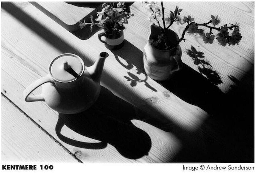 Kentmere Pan 100