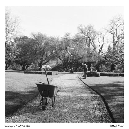 Kentmere Pan 200 (120)