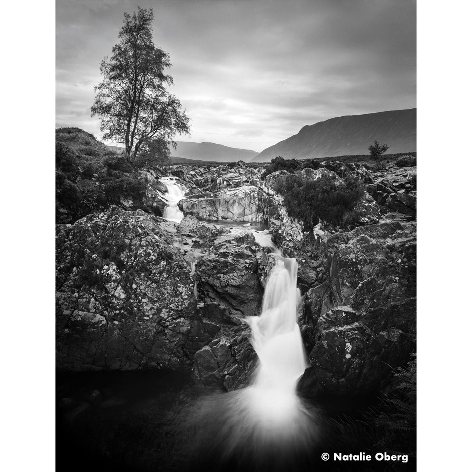 ILFORD ORTHO+ 80