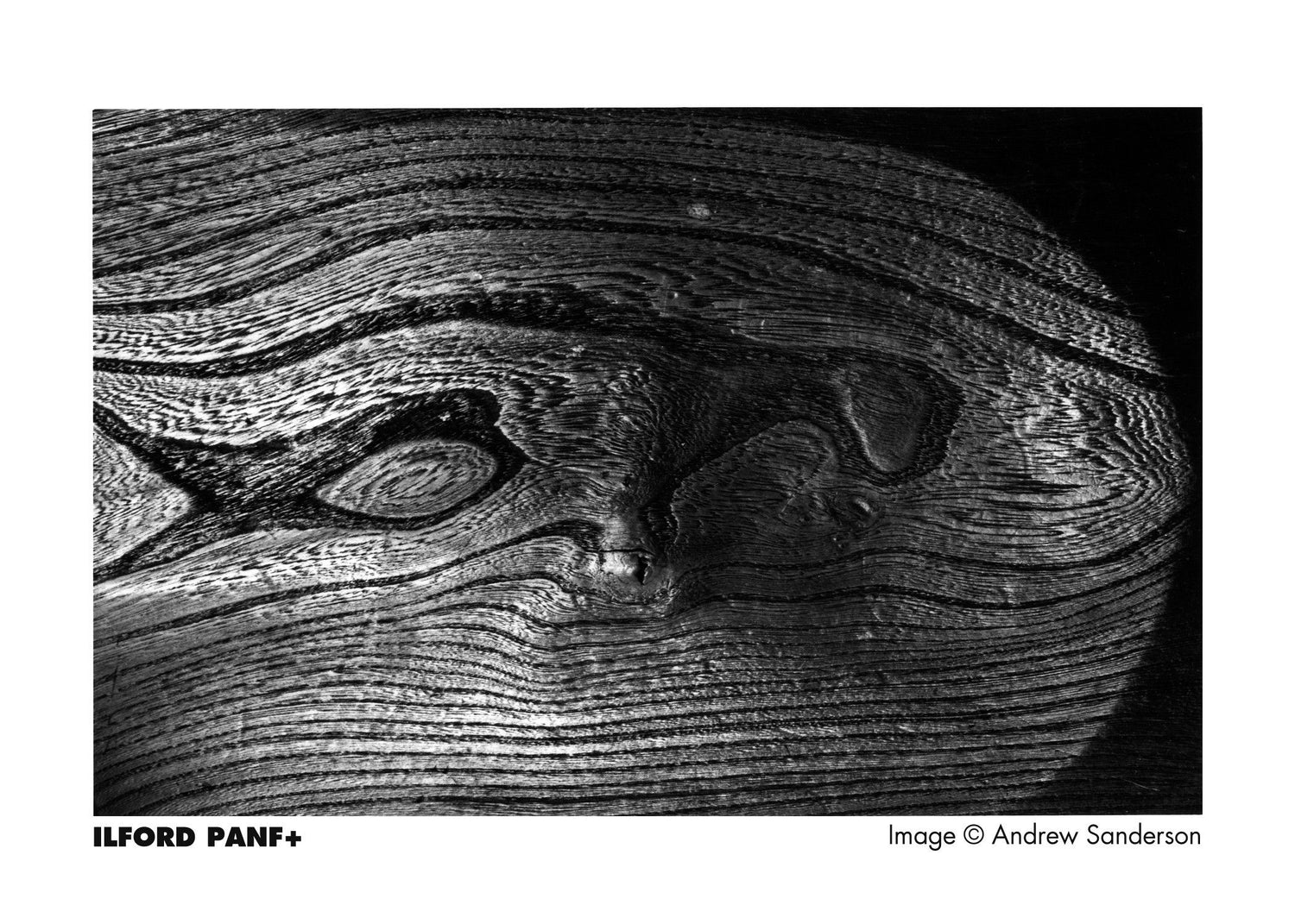 ILFORD Pan F Plus